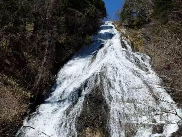 流亡海外的康有为，过着逃亡生活，为什么能住豪华饭店周游列国？游戏画面